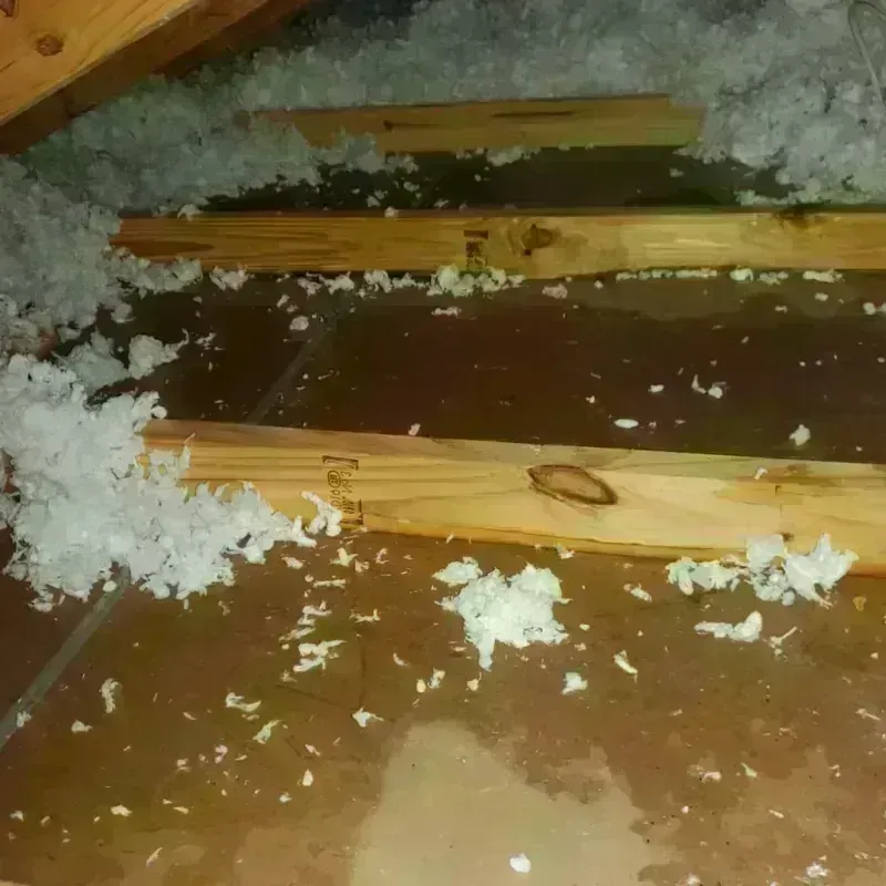 Attic Water Damage in Roberts County, SD