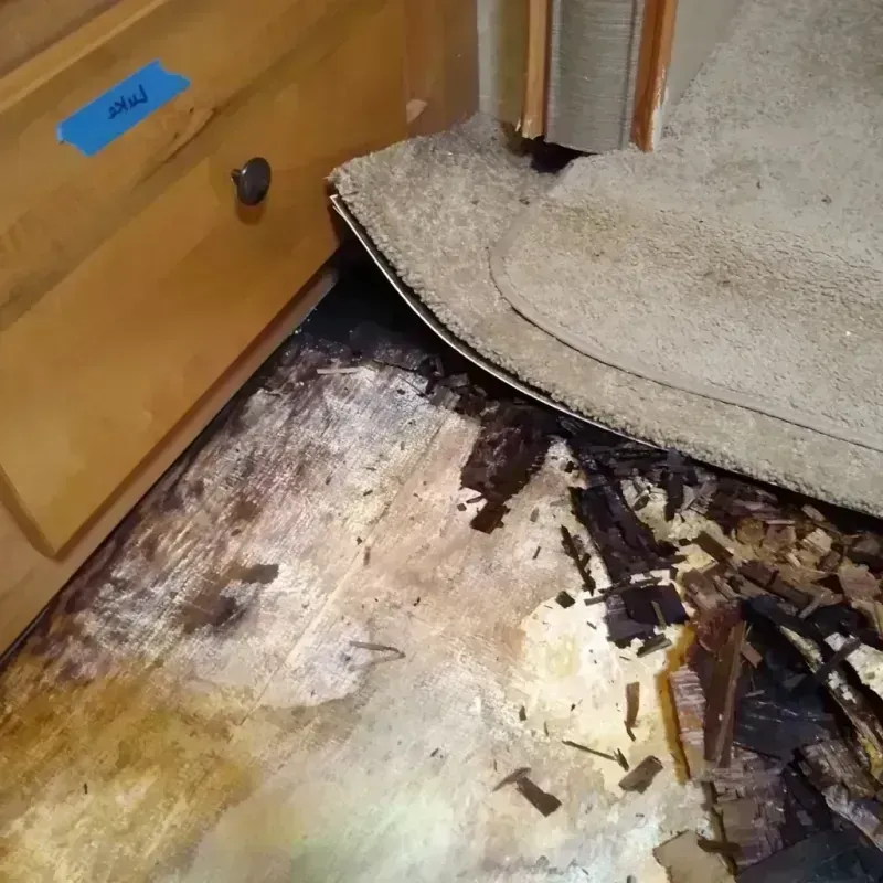 Wood Floor Water Damage in Roberts County, SD